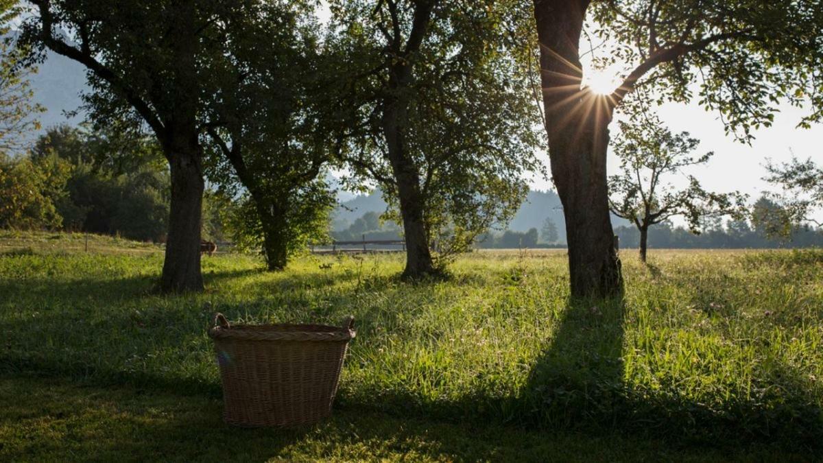Bed and Breakfast Bauernhof Lindenhof Шеффау-ам-Вильден-Кайзер Экстерьер фото